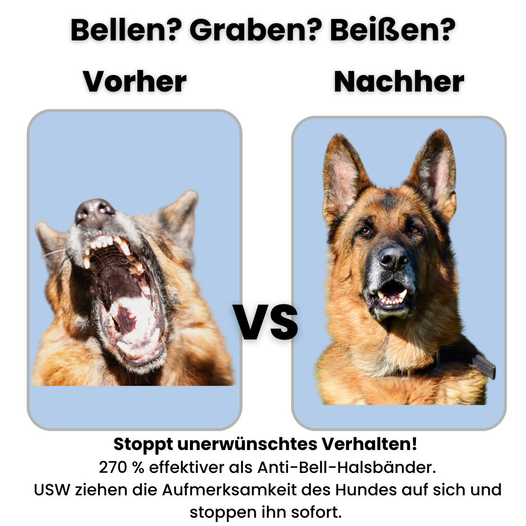 Rexium SonicShield - Ultraschall Hundeabwehr